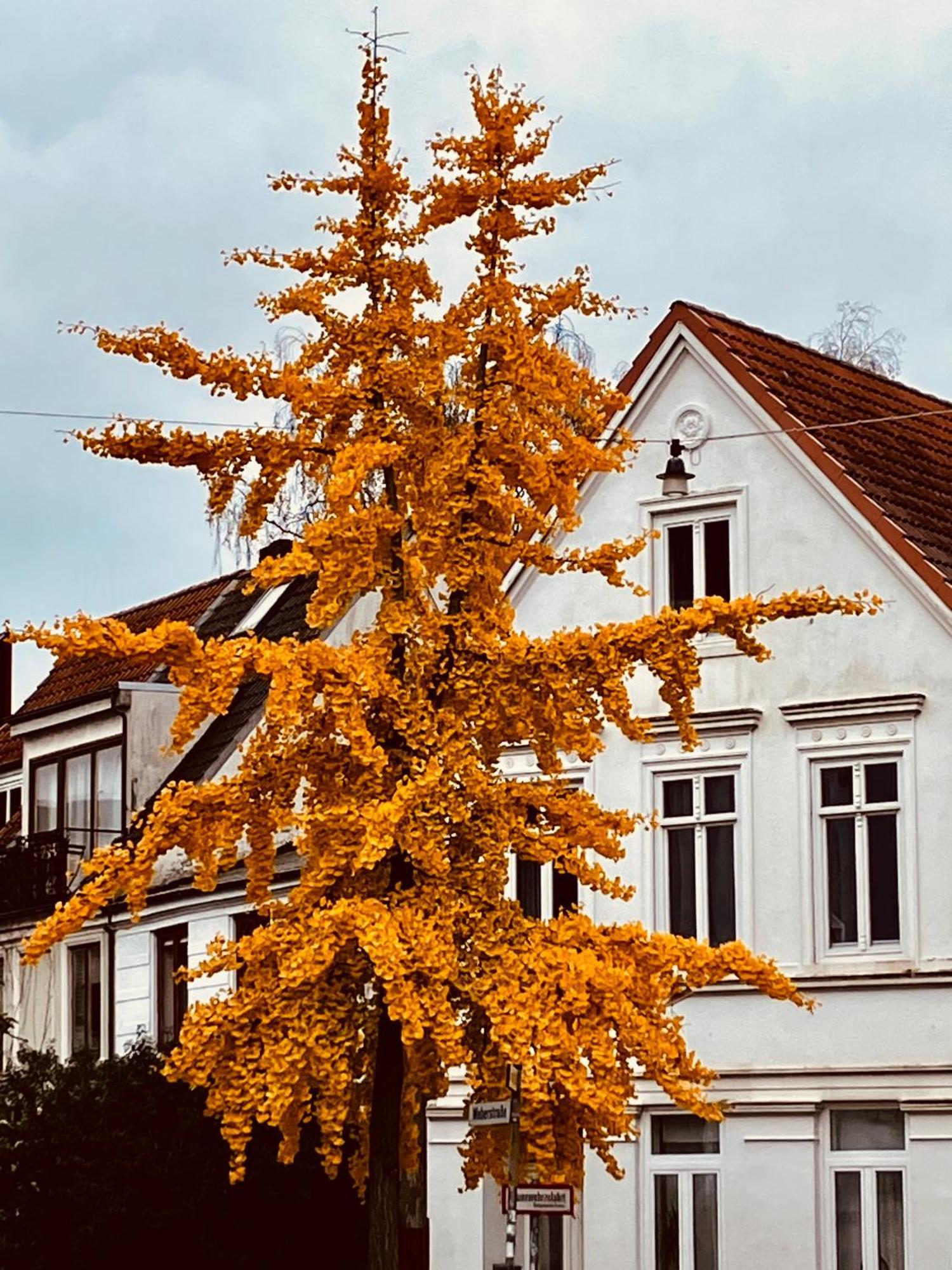 Zentrales Und Ruhiges Apartment Im Beliebtesten Bremer Viertel Exterior foto